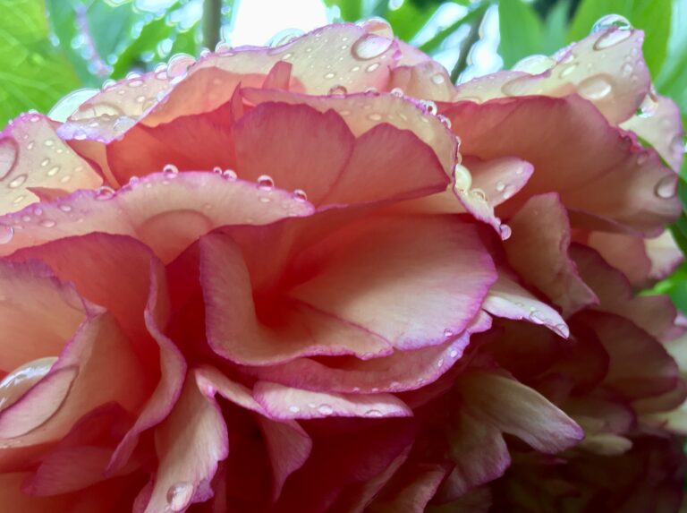 What´s love got to do with it?–why hardening doesn’t protect us